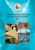 cover346724