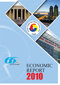 EconomicReport2010-1.jpg